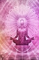 Never Forget Another Password for Yoga Lovers: The Password Book to Simplify Your Life and Never Forget any Email, Software, Social Media, or ... Again 1649534256 Book Cover