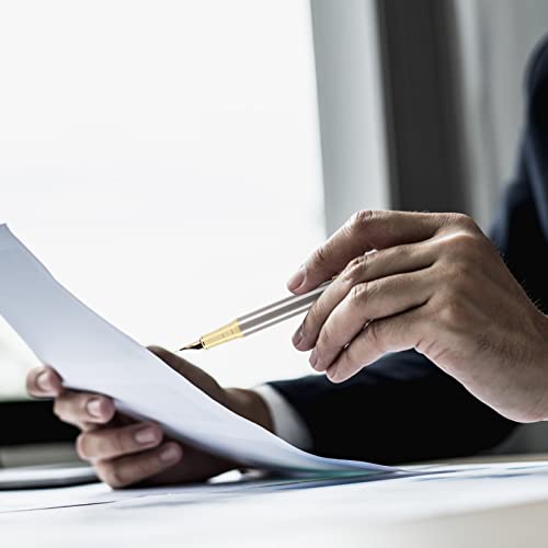 Cheericome Fountain Pen - Luxury Fountain Pen Set For Men & Women - Ink Pen For Smooth Writing - Fountain Pen Fine Nib，Includes 10 Ink Cartridges And Ink Refill Converter - Silver #TOP4