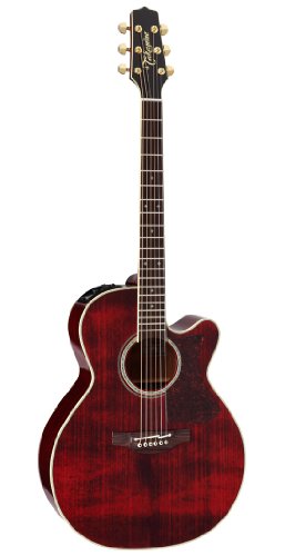 Takamine/GAR500V[Y DMP551C