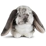 Realistisch detailliert Living Nature AN316 Soft Toy Dutch Lop Ohr-Kaninchen, Grau und Beige, Sortierte Farbe