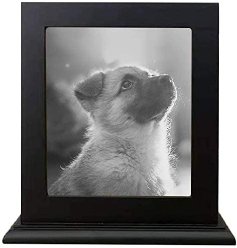 Hanwu Madera Pet Memorial urna para Cenizas, Marco de la Foto del Recuerdo de la Caja para Gatos Perros, funeraria ataúdes de Madera Material corpulentos cremación urnas Amantes de Mascotas,Negro