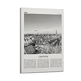 fotos chester las palmas Características: somos buenos para hacer pósteres de lienzo, hacer pósteres de alta calidad es nuestra búsqueda, a diferencia de los pósteres de papel, los pósteres de lienzo tienen mejor calidad y una vida útil más larga.