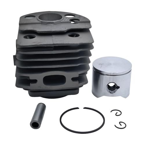 Segments de piston 46 mm contre la perte de puissance 55 Rancher