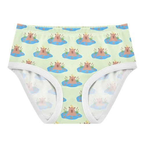 Girls' Underwear Cute Capybara Cotton Stretch Comfort Toddler Panties