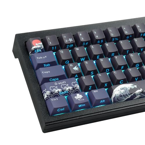 JakeTsai Copritasti in gelatina di cristallo, keycap in PBT, 113 tasti, profilo OEM, double shot, bianco traslucido, con stampa laterale personalizzata, per switch Cherry MX e tastiera meccanica con JakeTsai Copritasti in gelatina di cristallo, keycap in PBT, 113 tasti, profilo OEM, double shot, bianco traslucido, con stampa laterale personalizzata, per switch Cherry MX e tastiera meccanica con