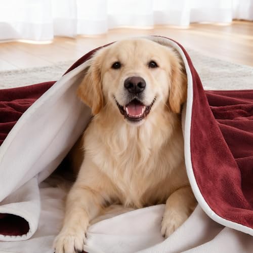 Image of LOOBANI Waterproof Dog Blanket for Couch: Reversible Flannel Bed Blanket for Medium Large Dogs Liquid Proof, Soft Throw Blanket Couch Cover Protector for Sofa, Crate, Travel, Picnic, 50 inch x 60 inch, Red