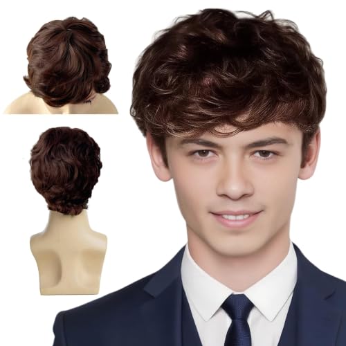 Brown Wigs for Men Short Mens Wigs Wavy Funny Wig 60s 70s and 80s Fancy Dress Men Party Costume Natural Looking Fluffy Daily Use Costume Male Toupee Wig Mens