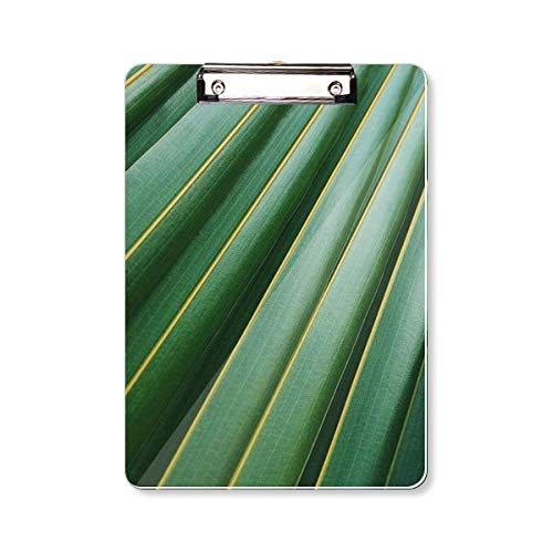 Plante à feuilles vertes cahier A4 idéal pour vos décors photo créatifs