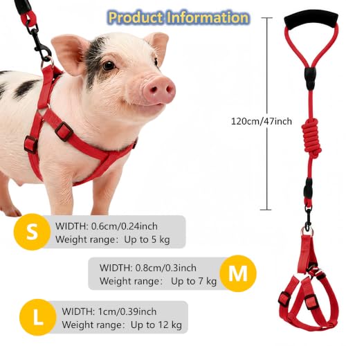 Image of Mini Pig Harness, Adjustable Small Pig Harness with Leash Infinity Style Lead and Soft Foam Handle for Small to Medium Pet Pigs Walking Training Jogging (Red, S)