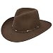 Stetson Men's Mountain Sky Crushable Wool Hat - Swmtsk-8132 Acorn