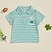 Toddler Baby Boy Lapel Collar Striped Print Polo Shirt Short Sleeve Embroidery T-Shirt Tees Tops Summer Clothes (A-Green, 18-24 Months)