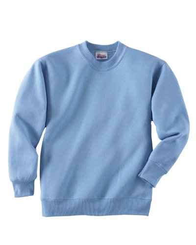Hanes Youth 7.8 oz 50/50 Crewneck Sweatshirt in Light Blue - Medium (10/12)2