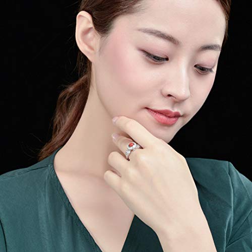 Aligeya.cn