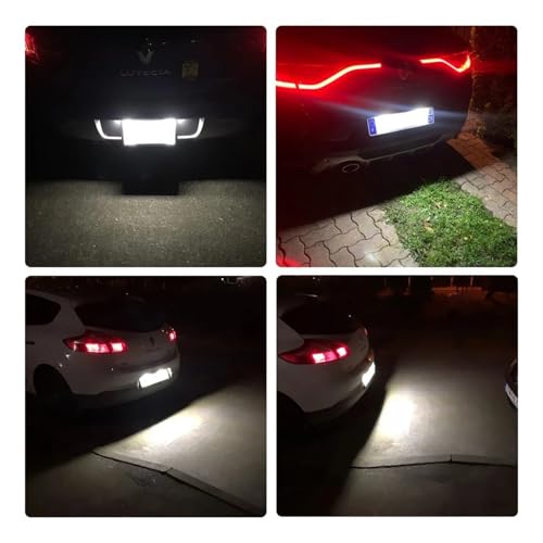 Luz matrícula LED para solventar fallos de iluminación en Megane Clio y Kadjar 6