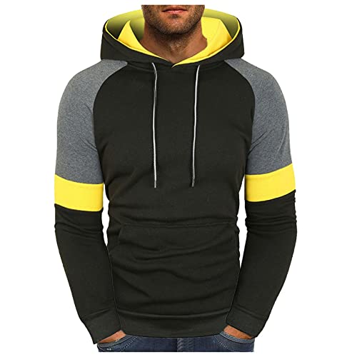 Chemises de Sport d'automne et d'hiver pour Hommes et Loisirs Sweat à Capuche en Coton épaissi Sweat-Shirts pour Hommes Sweat Capuche Zippée Cover