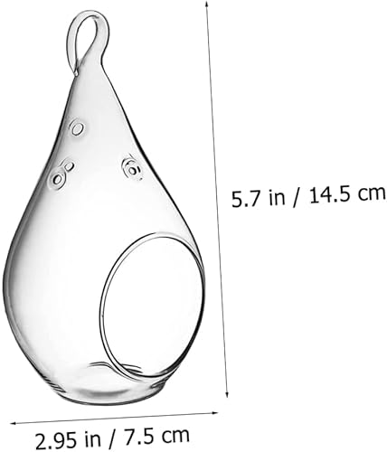 Miniatura 6 de IMIKEYA 8 macetas colgantes de vidrio, contenedor de terrario colgante, jarrones de vidrio transparente, jarrón de flores de vidrio, portavelas