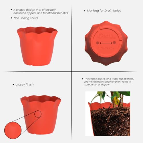 Image of YUCCABE ITALIA SHERA 4 Inch Plastic Flower Pot 6 Piece Set of Unbreakable Round Shape Planter for Home Garden Seedling, Indoor and Outdoor (Red)