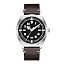 Brown California Dial