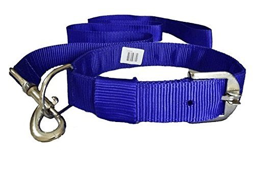 MUNCHOS Nylon Leash with Collar Set for Dogs Large (1.25-inch) (B0761NZH87) Amazon Price History, Amazon Price Tracker