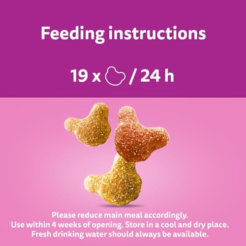 Whiskas Crunch Cat Treats 100 g- Delicious Crunchy Snacks for Cats (Pack of 6) - Image 5