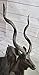 Signed Original Milo Wildlife Animal African Kudu Bronze Sculpture Statue Decor Gift Home Sale Decor by Think Bronze