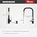 Pfister Zanna 1-Handle Pull-Down Kitchen Faucet in Matte Black and Brushed Gold