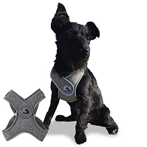 犬用首輪 中型犬 ハーネス 引っ張り防止の人気商品 通販 価格比較 価格 Com