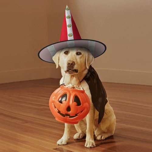 Chapeaux de sorcière Halloween imprimé Pérou pour renouveler votre décoration
