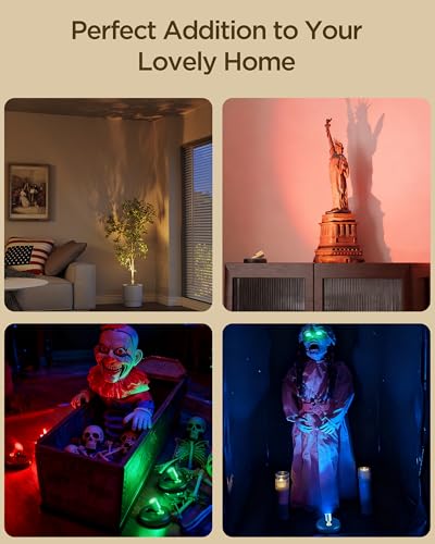 Image of Zetunlo Spot Lights Indoor RGB Spotlight: Rechargeable Color Changing Wireless Uplights Indoor - Plants Tree Artwork Model Picture Display Accent Lighting for Home Decor Homeowners
