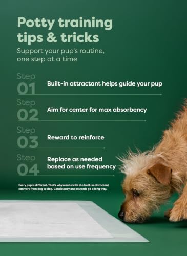 Image of Regular [L] Puppy Pee Pads, Clear View Top, Max Absorbency, 75CT