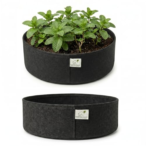 Image of 400 GSM Geo Fabric Round Grow Bags 12x6 Inch, Black Planting Bags for Terrace and Kitchen Gardening Pack of 2