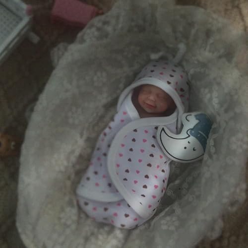 Muñeca bebé reborn silicona mini 11.43 cm con accesorios miniatura 3