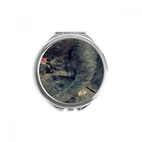 Miroir rond maquillage de poche chat gris animal portable 2,6 pouces DIYthinker
