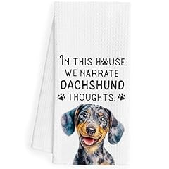 House Dachund