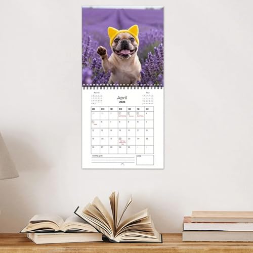 Weqizuerqi Wandkalender 2026 | Monatliches Dickes Papier Mit Notizen,Französische Bulldogge Kalender 2026 Planer | Für Akademische Termine Home Office Schulwohnheim Familie Schüler Lehrer Weihnachten