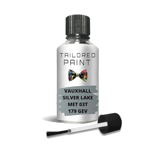 Per Vauxhall Silver Lake Met 03 T 179 Gev Vernice per ritocchi con pennello (vernice per ritocchi