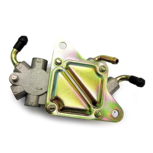 Pompe à carburant pour VTT Xy300 et Lh 260-300