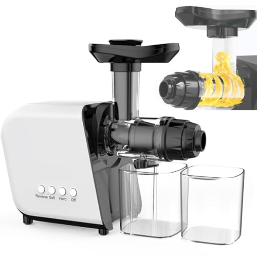 Exprimidor lento, máquina de masticación, exprimidor horizontal totalmente automático de 250 W...