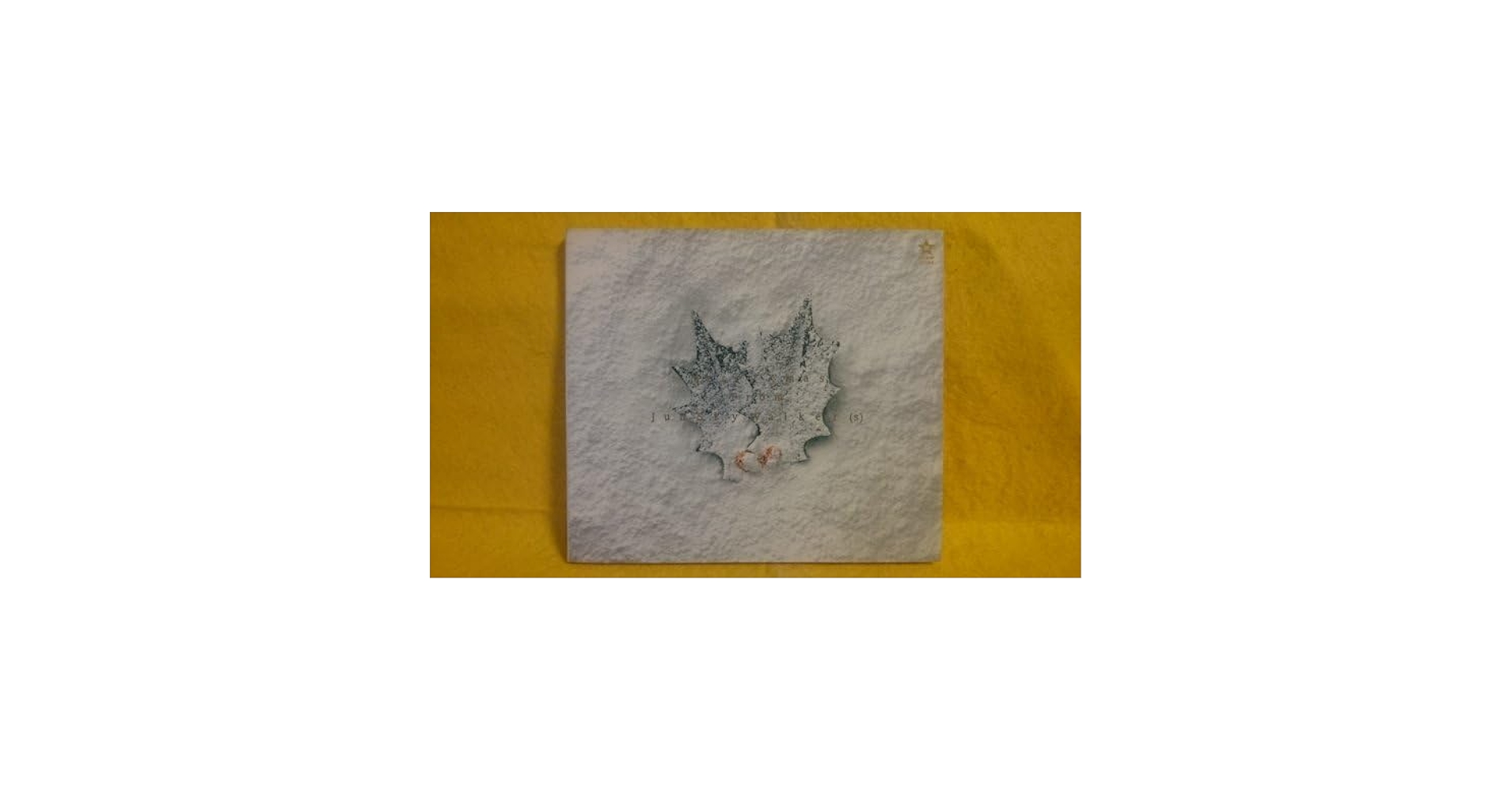 JUN SKY WALKER(S)アルバム14枚シングル白いクリスマス合計15枚