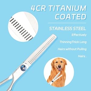 6piece Set of Pet Grooming Scissors and Nail Clippers  Professional Dog and Cat Nail Clipper Set Equipped with Grooming Scissors and Nail Clippers  Suitable for Pet Dogs and Cats  Cucciolini Doodles 6 piece set of pet grooming scissors and nail clippers  professional dog and cat nail clipper set equipped with grooming scissors and nail clippers  suitable for pet dogs and cats   cucciolini doodles