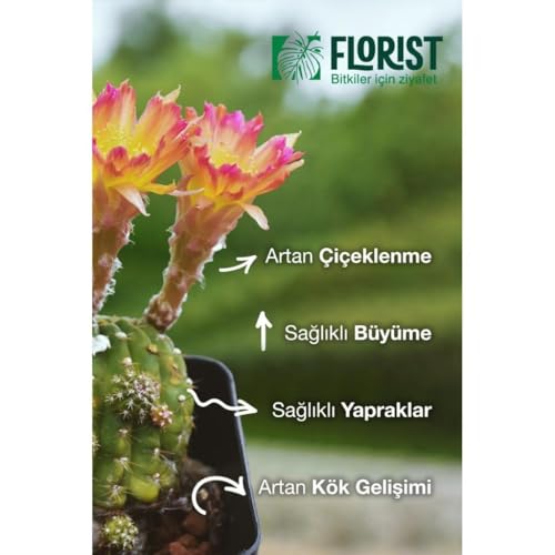 Konsantre Sıvı Kaktüs ve Sukulent Bitki Besini