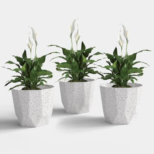 Image of YUCCABE ITALIA SHERA Hexa Plastic Planter Pot for Plants | Decorative Flower Pot | UV Protected Lightweight Indoor Outdoor Gamla for Home Decor, Balcony, Garden & Living Room