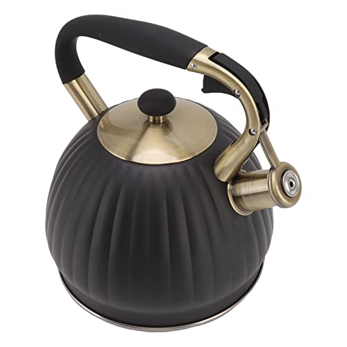 Bouilloire en acier inoxydable de 3,5 L KKPLZZ au design durable et élégant