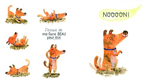 Non ! [French] 2878336380 Book Cover