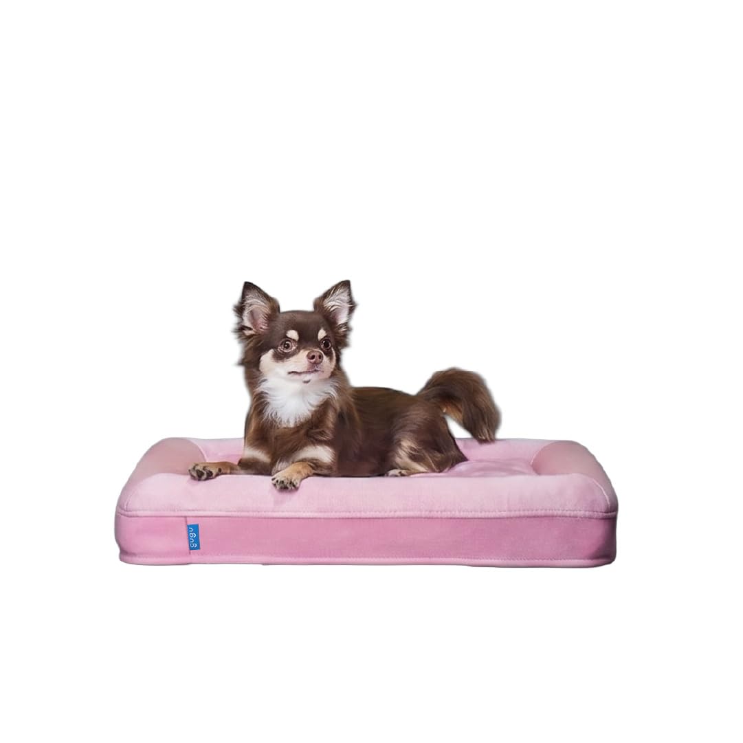 Amazon | グーグースリープ 犬 ペット ベッド エクストラスモール
