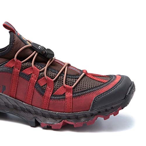 Tênis Bull Terrier Cross