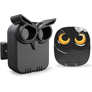 système d'alarme sans fil longue portée pour entrée de 800 m capteur de mouvement résistant aux intempéries 1 récepteur et 1 capteur