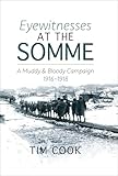 Eyewitnesses at the Somme: A Muddy and Bloody Campaign, 1916–1918