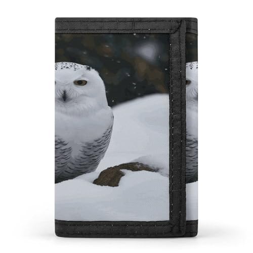 Portefeuille de voyage hibou des neiges pour ranger vos cartes