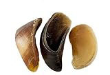 123 Treats | Cow Hooves for Dogs | 100% Natural Long Lasting Hoof Dental Dog Thick Chews Made from F